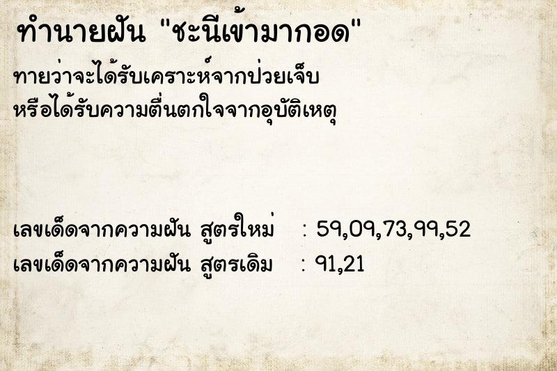 ทำนายฝันชะนีเข้ามากอด ทำนายฝันทำนายฝันชะนีเข้ามากอด
