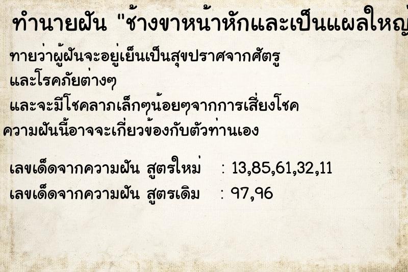 ทำนายฝันช้างขาหน้าหักและเป็นแผลใหญ่ ทำนายฝันทำนายฝันช้างขาหน้าหักและเป็นแผลใหญ่