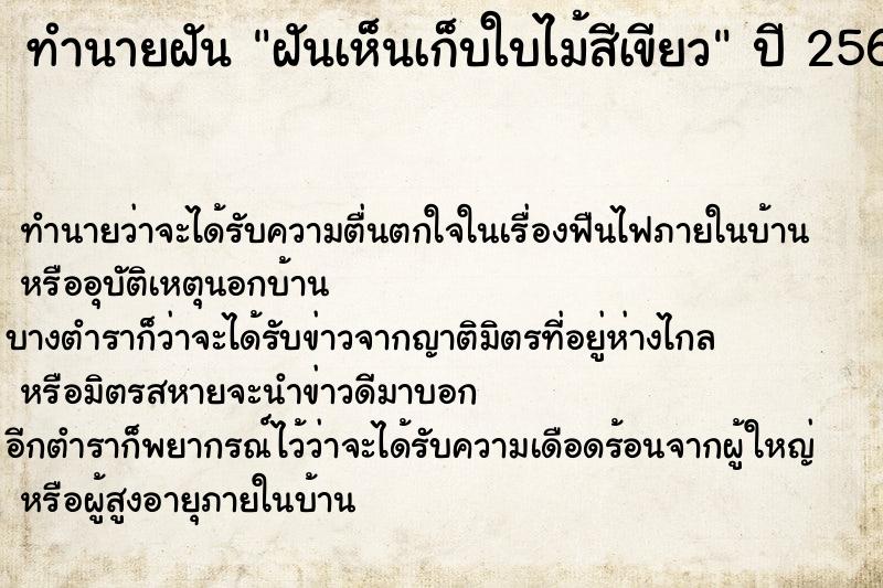 ทำนายฝัน ฝันเห็นเก็บใบไม้สีเขียว ทำนายฝัน ฝันเห็นเก็บใบไม้สีเขียว