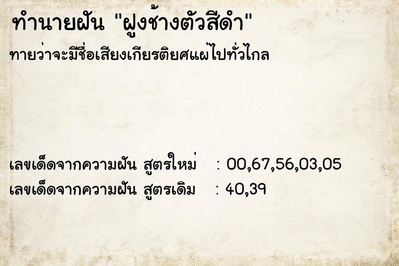 ทำนายฝันทำนายฝันฝูงช้างตัวสีดำ