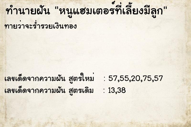 ทำนายฝันหนูแฮมเตอร์ที่เลี้ยงมีลูก ทำนายฝันทำนายฝันหนูแฮมเตอร์ที่เลี้ยงมีลูก