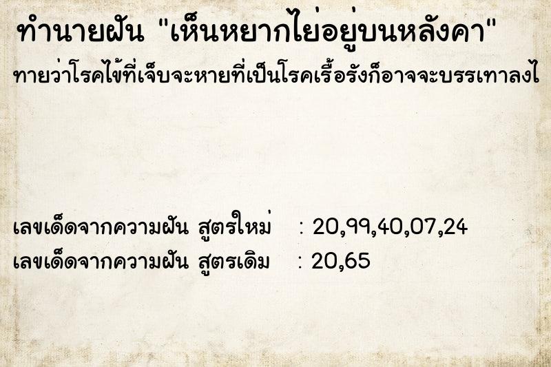 ทำนายฝัน เห็นหยากไย่อยู่บนหลังคา