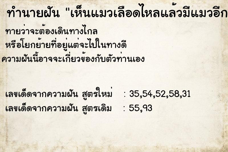 ทำนายฝันทำนายฝันเห็นแมวเลือดไหลแล้วมีแมวอีกตัวมากัด
