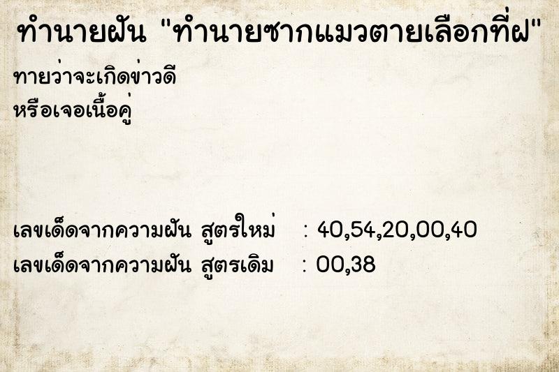 ทำนายฝันทำนายซากแมวตายเลือกที่ฝ ทำนายฝันทำนายฝันทำนายซากแมวตายเลือกที่ฝ