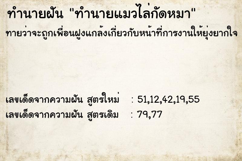 ทำนายฝัน ทำนายแมวไล่กัดหมา ทำนายฝัน ทำนายแมวไล่กัดหมา