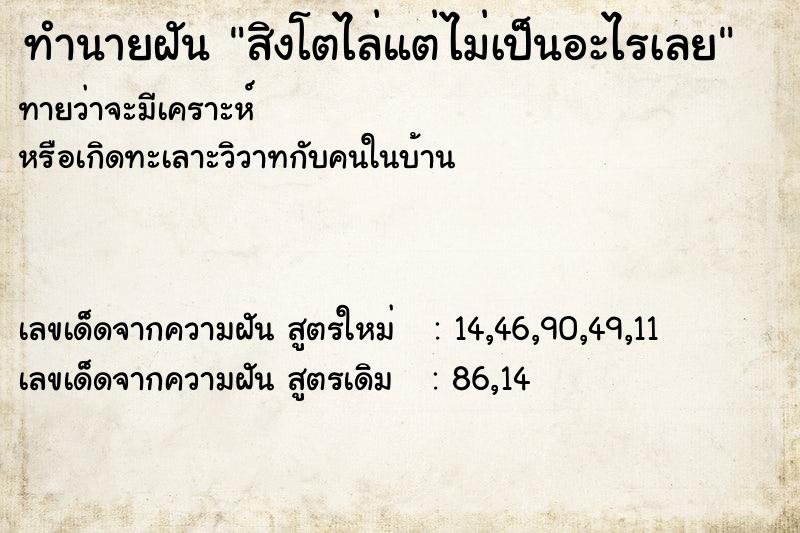 ทำนายฝันทำนายฝันสิงโตไล่แต่ไม่เป็นอะไรเลย