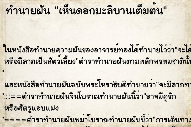 ทำนายฝัน เห็นดอกมะลิบานเต็มต้น ทำนายฝัน เห็นดอกมะลิบานเต็มต้น
