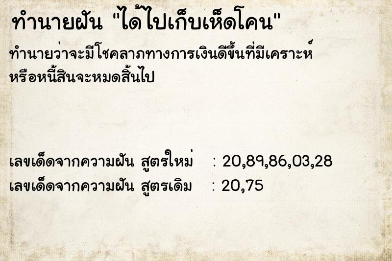 ทำนายฝันทำนายฝันได้ไปเก็บเห็ดโคน