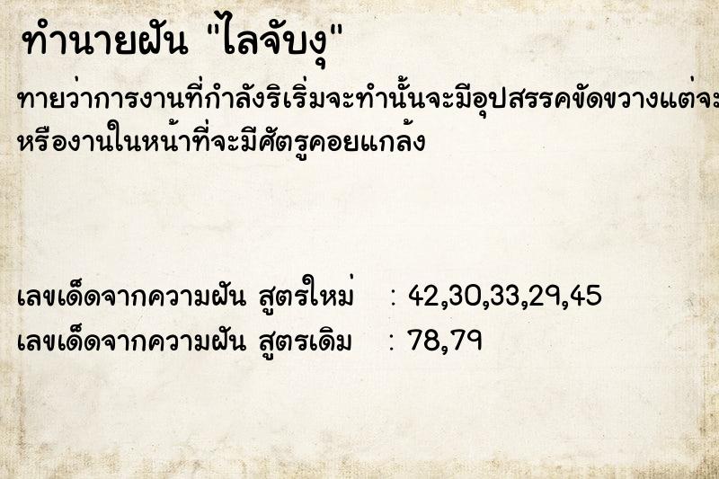 ทำนายฝันทำนายฝันไลจับงุ