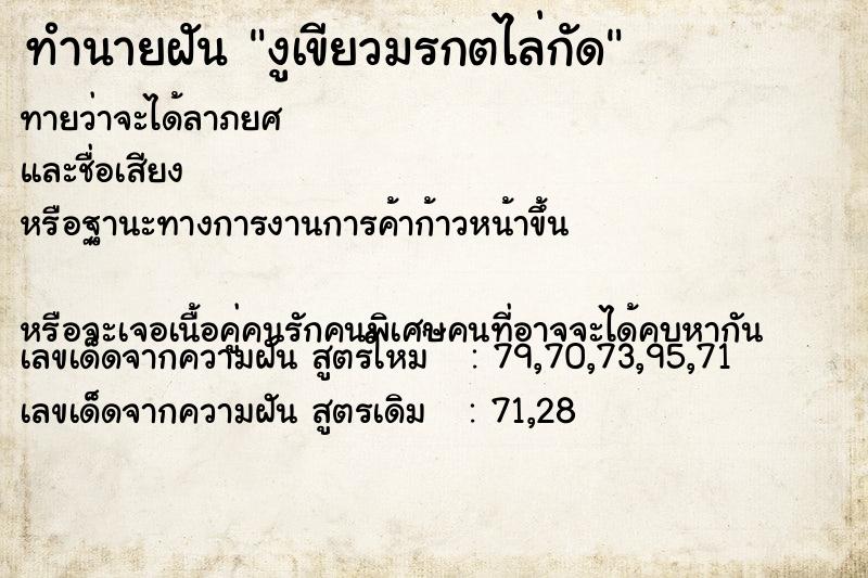 ทำนายฝันงูเขียวมรกตไล่กัด ทำนายฝันทำนายฝันงูเขียวมรกตไล่กัด