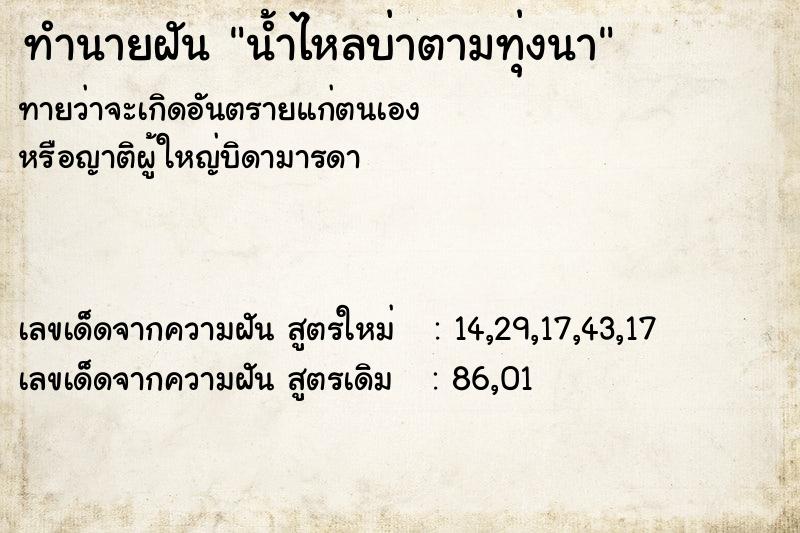 ทำนายฝัน น้ำไหลบ่าตามทุ่งนา ทำนายฝัน น้ำไหลบ่าตามทุ่งนา