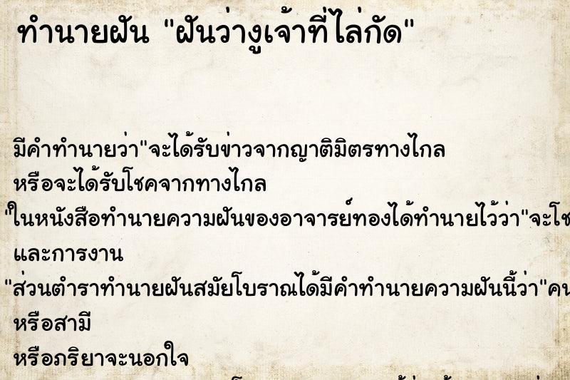 ทำนายฝันฝันว่างูเจ้าที่ไล่กัด ทำนายฝันทำนายฝันฝันว่างูเจ้าที่ไล่กัด