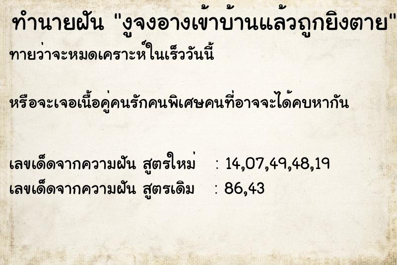 ทำนายฝัน งูจงอางเข้าบ้านแล้วถูกยิงตาย