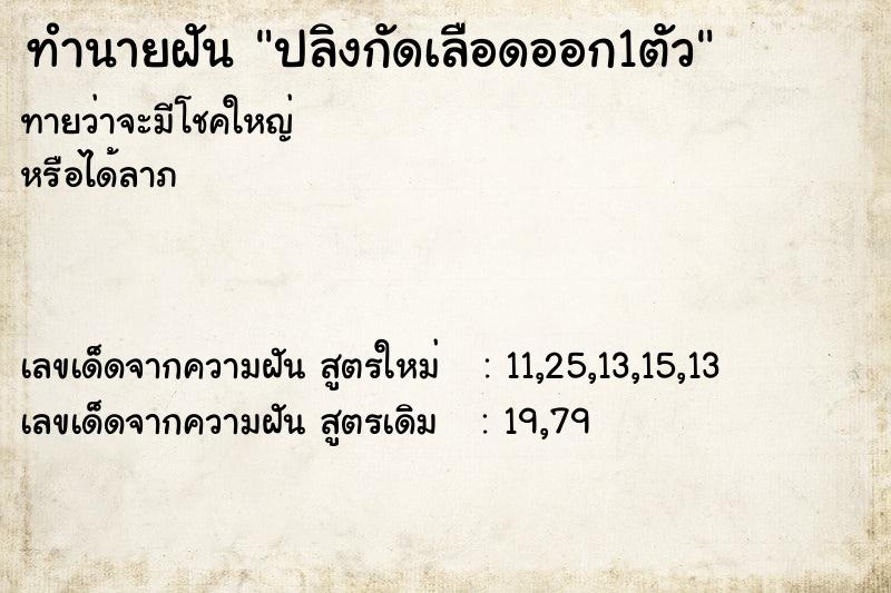 ทำนายฝันปลิงกัดเลือดออก1ตัว ทำนายฝันทำนายฝันปลิงกัดเลือดออก1ตัว