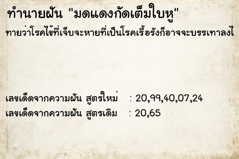 ทำนายฝันทำนายฝันมดแดงกัดเต็มใบหู