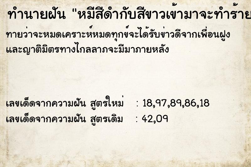 ทำนายฝันหมีสีดำกับสีขาวเข้ามาจะทำร้าย ทำนายฝันทำนายฝันหมีสีดำกับสีขาวเข้ามาจะทำร้าย