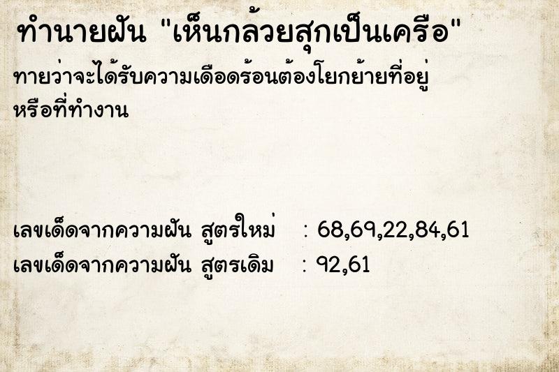 ทำนายฝันเห็นกล้วยสุกเป็นเครือ ทำนายฝันทำนายฝันเห็นกล้วยสุกเป็นเครือ