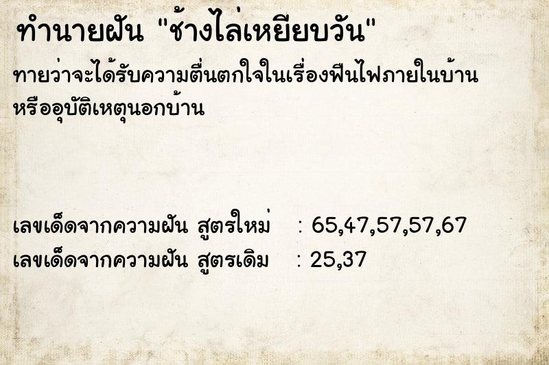 ทำนายฝันทำนายฝันช้างไล่เหยียบวัน