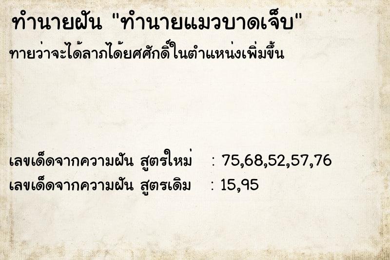 ทำนายฝันทำนายฝันทำนายแมวบาดเจ็บ