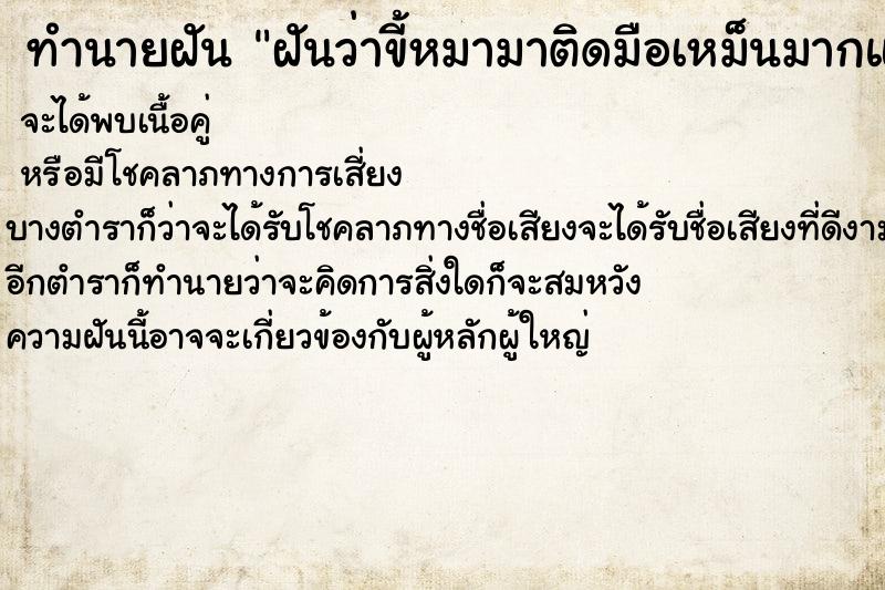 ทำนายฝันฝันว่าขี้หมามาติดมือเหม็นมากแล้วล้างออก ทำนายฝันทำนายฝันฝันว่าขี้หมามาติดมือเหม็นมากแล้วล้างออก