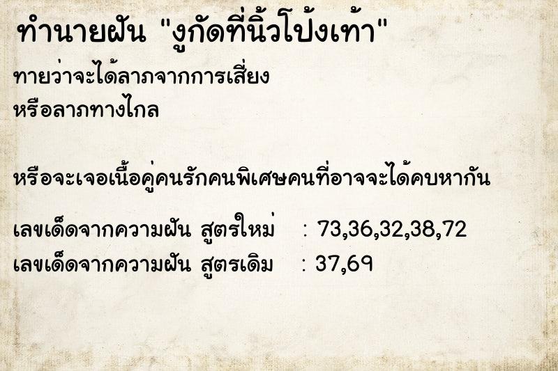 ทำนายฝันงูกัดที่นิ้วโป้งเท้า ทำนายฝันทำนายฝันงูกัดที่นิ้วโป้งเท้า