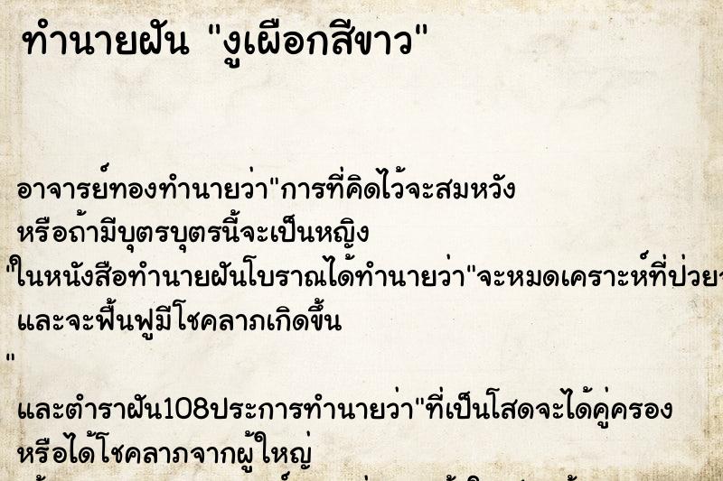 ทำนายฝัน งูเผือกสีขาว ทำนายฝัน งูเผือกสีขาว