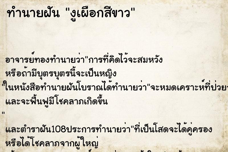 ทำนายฝัน งูเผือกสีขาว ตำราโบราณ แม่นที่สุดในโลก