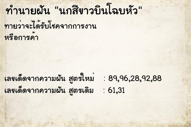 ทำนายฝันนกสีขาวบินโฉบหัว ทำนายฝันทำนายฝันนกสีขาวบินโฉบหัว