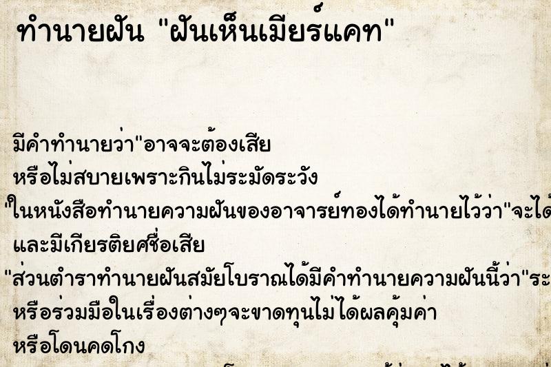 ทำนายฝัน ฝันเห็นเมียร์แคท ทำนายฝัน ฝันเห็นเมียร์แคท