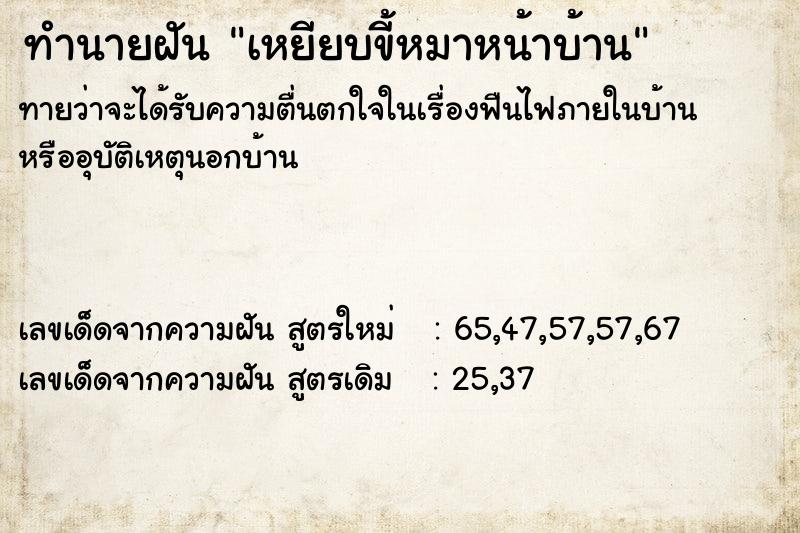 ทำนายฝันทำนายฝันเหยียบขี้หมาหน้าบ้าน