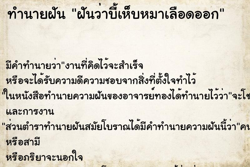 ทำนายฝัน ฝันว่าบี้เห็บหมาเลือดออก ทำนายฝัน ฝันว่าบี้เห็บหมาเลือดออก