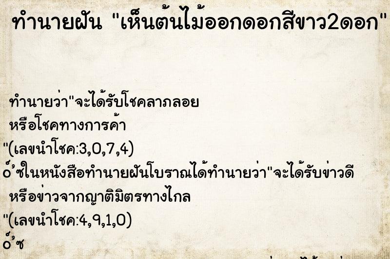 ทำนายฝันเห็นต้นไม้ออกดอกสีขาว2ดอก ทำนายฝันทำนายฝันเห็นต้นไม้ออกดอกสีขาว2ดอก