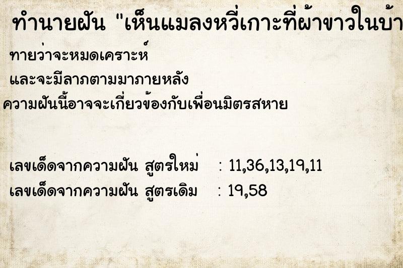 ทำนายฝันทำนายฝันเห็นแมลงหวี่เกาะที่ผ้าขาวในบ้านเยอะมาก
