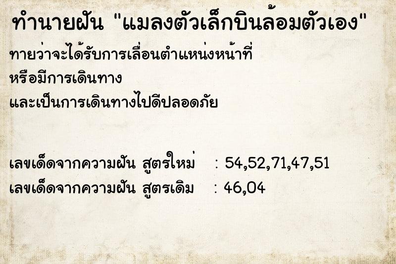 ทำนายฝันแมลงตัวเล็กบินล้อมตัวเอง ทำนายฝันทำนายฝันแมลงตัวเล็กบินล้อมตัวเอง