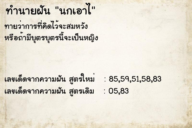 ทำนายฝันนกเอาไ ทำนายฝันทำนายฝันนกเอาไ