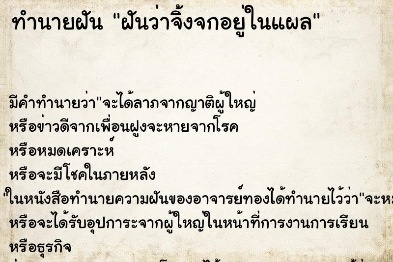 ทำนายฝันทำนายฝันฝันว่าจิ้งจกอยู่ในแผล