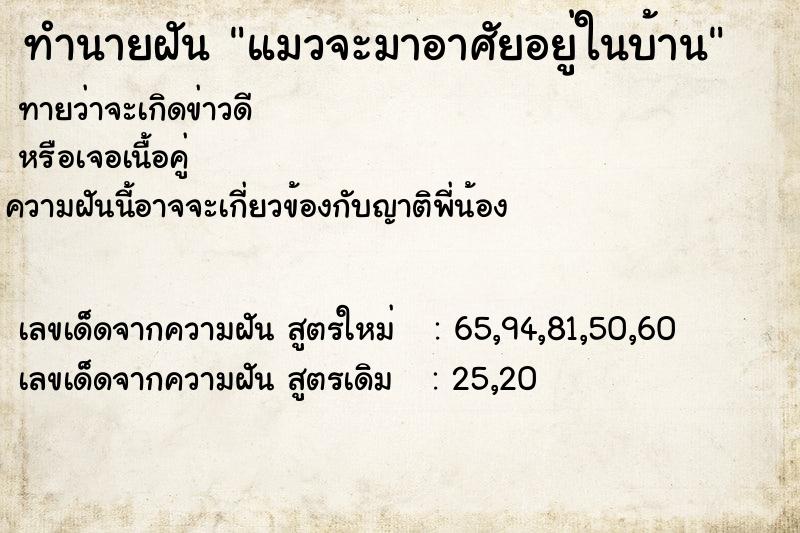 ทำนายฝันแมวจะมาอาศัยอยู่ในบ้าน ทำนายฝันทำนายฝันแมวจะมาอาศัยอยู่ในบ้าน