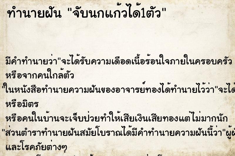 ทำนายฝัน จับนกแก้วได้1ตัว ทำนายฝัน จับนกแก้วได้1ตัว