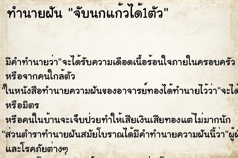 ทำนายฝัน จับนกแก้วได้1ตัว ตำราโบราณ แม่นที่สุดในโลก