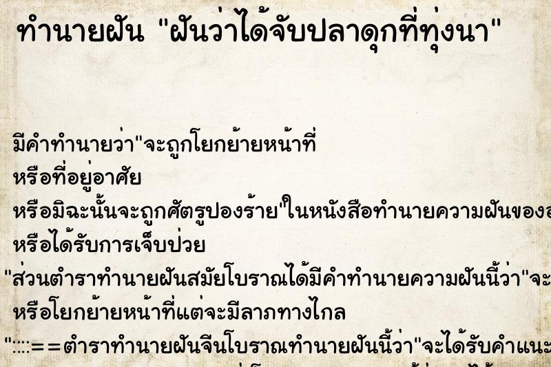 ทำนายฝันฝันว่าได้จับปลาดุกที่ทุ่งนา ทำนายฝันทำนายฝันฝันว่าได้จับปลาดุกที่ทุ่งนา