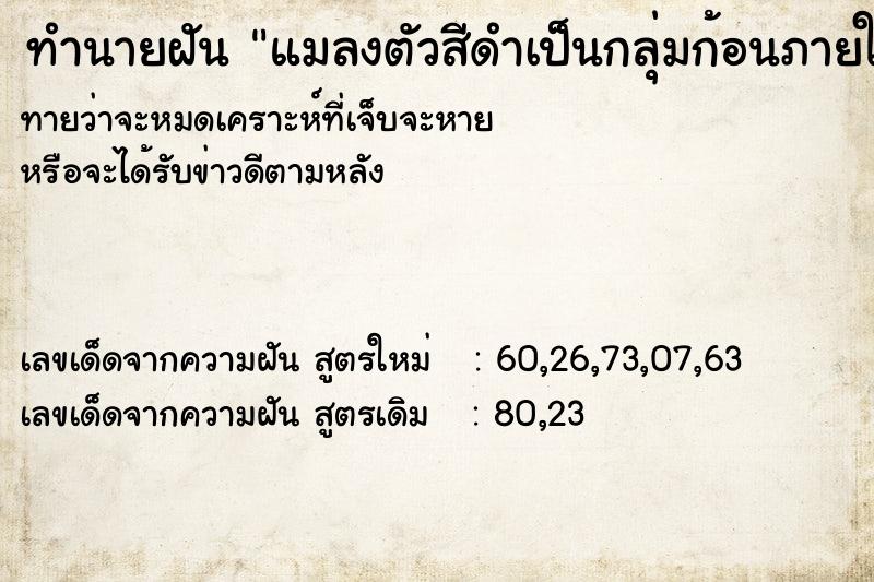 ทำนายฝันแมลงตัวสีดำเป็นกลุ่มก้อนภายในบ้าน ทำนายฝันทำนายฝันแมลงตัวสีดำเป็นกลุ่มก้อนภายในบ้าน