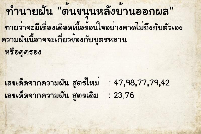 ทำนายฝันทำนายฝันต้นขนุนหลังบ้านออกผล