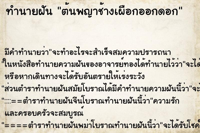 ทำนายฝันทำนายฝันต้นพญาช้างเผือกออกดอก
