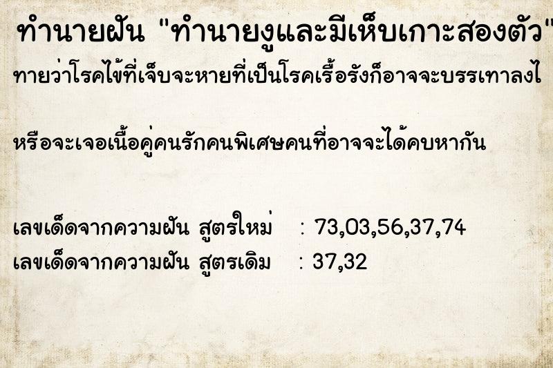 ทำนายฝันทำนายงูและมีเห็บเกาะสองตัว ทำนายฝันทำนายฝันทำนายงูและมีเห็บเกาะสองตัว