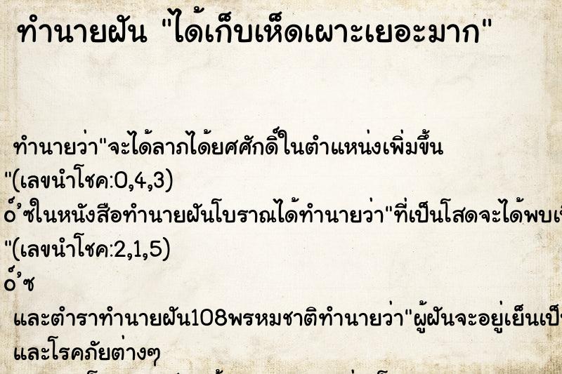 ทำนายฝัน ได้เก็บเห็ดเผาะเยอะมาก ทำนายฝัน ได้เก็บเห็ดเผาะเยอะมาก