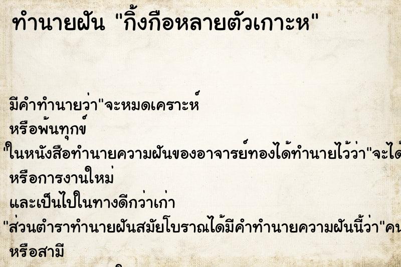 ทำนายฝันกิ้งกือหลายตัวเกาะห ทำนายฝันทำนายฝันกิ้งกือหลายตัวเกาะห