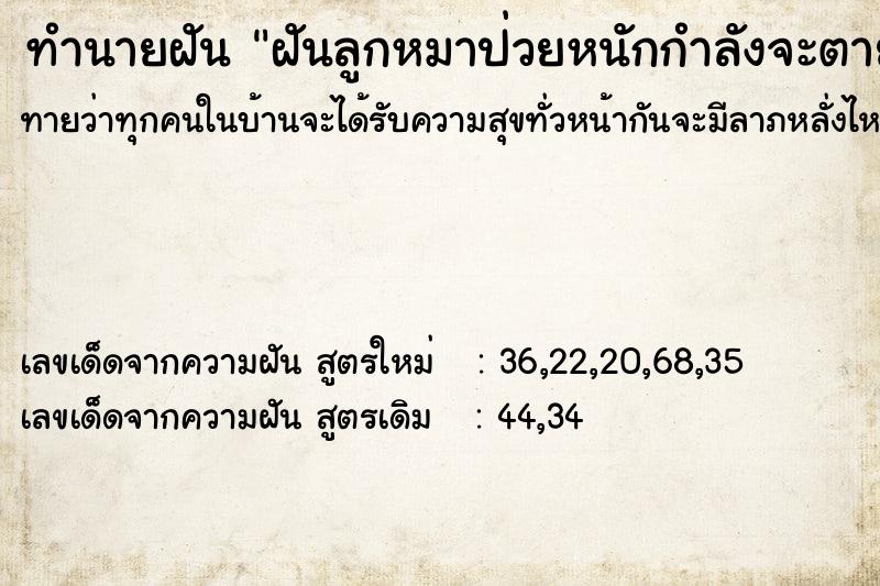 ทำนายฝันฝันลูกหมาป่วยหนักกำลังจะตาย ทำนายฝันทำนายฝันฝันลูกหมาป่วยหนักกำลังจะตาย
