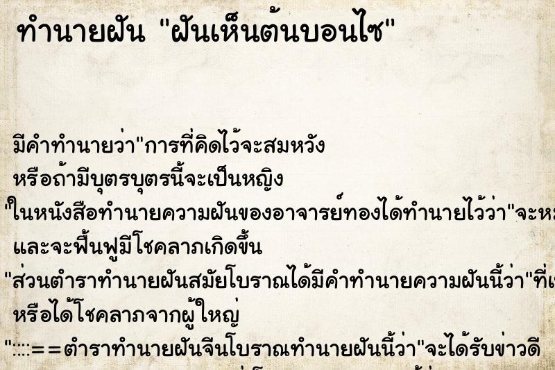ทำนายฝัน ฝันเห็นต้นบอนไซ ทำนายฝัน ฝันเห็นต้นบอนไซ