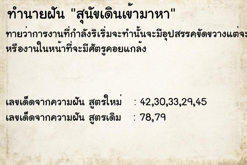 ทำนายฝันทำนายฝันสุนัขเดินเข้ามาหา