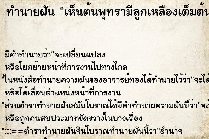 ทำนายฝัน เห็นต้นพุทรามีลูกเหลืองเต็มต้น ตำราโบราณ แม่นที่สุดในโลก